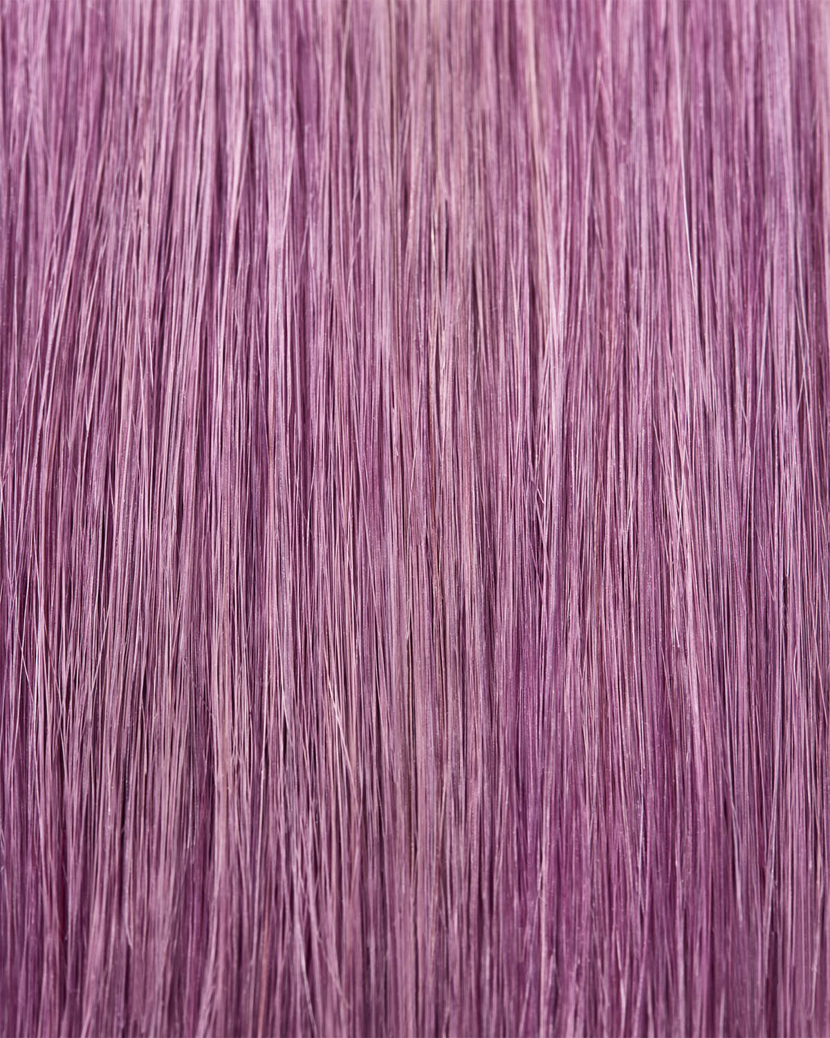 Colour Refresh Lavender 100ml