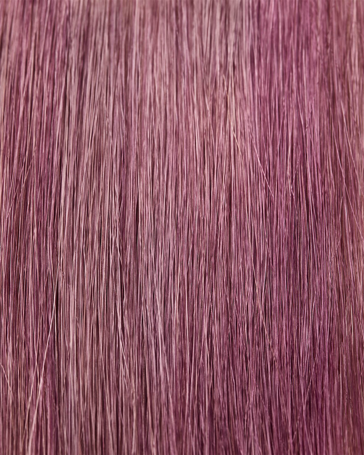 Colour Refresh Lavender 100ml