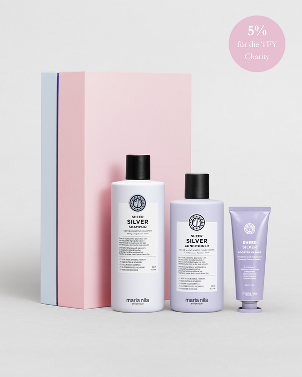 Holiday Box Sheer Silver 2023
