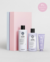 Holiday Box Sheer Silver 2023