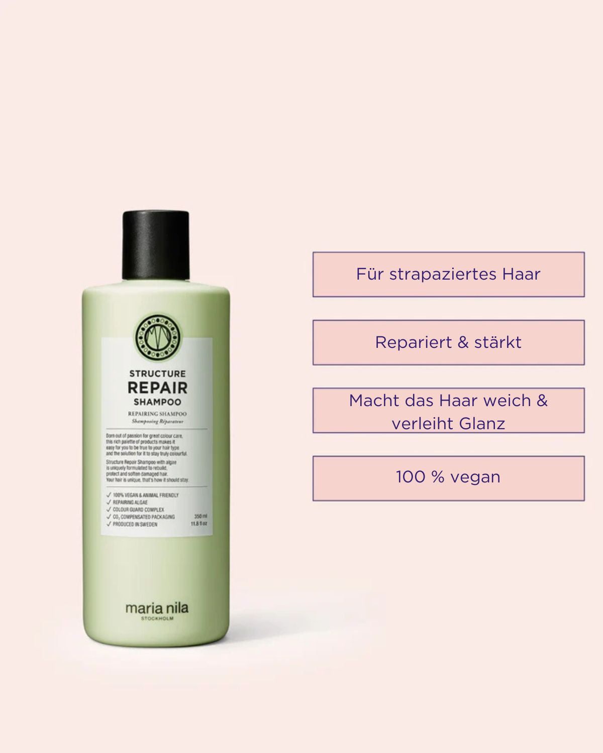 Beauty Bag Structure Repair 2025