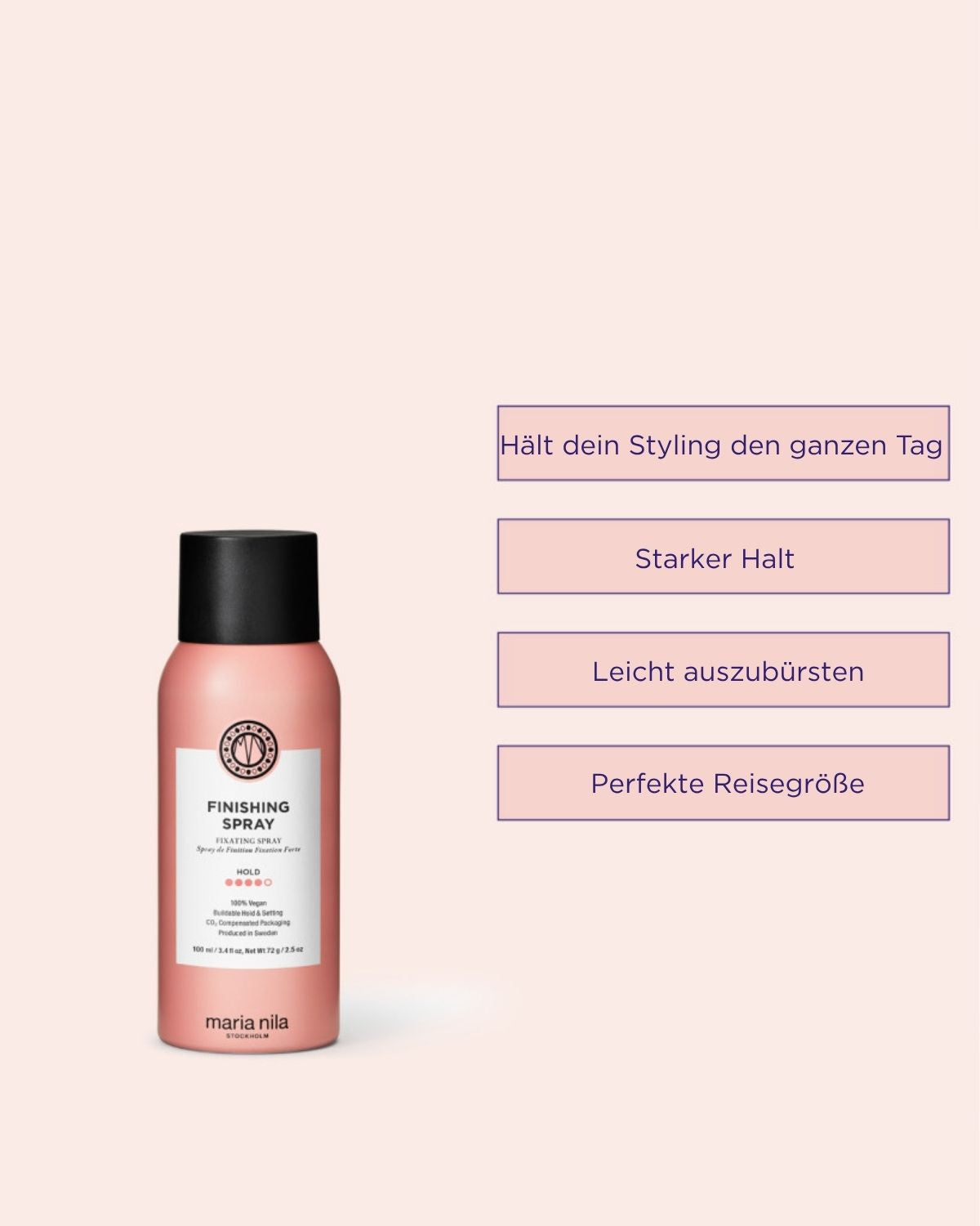 Finishing Spray 100ml