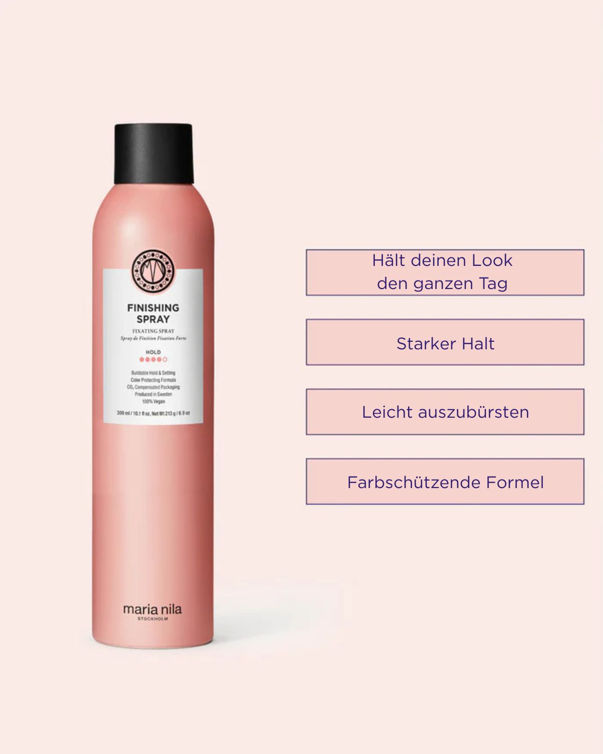 Finishing Spray 300ml