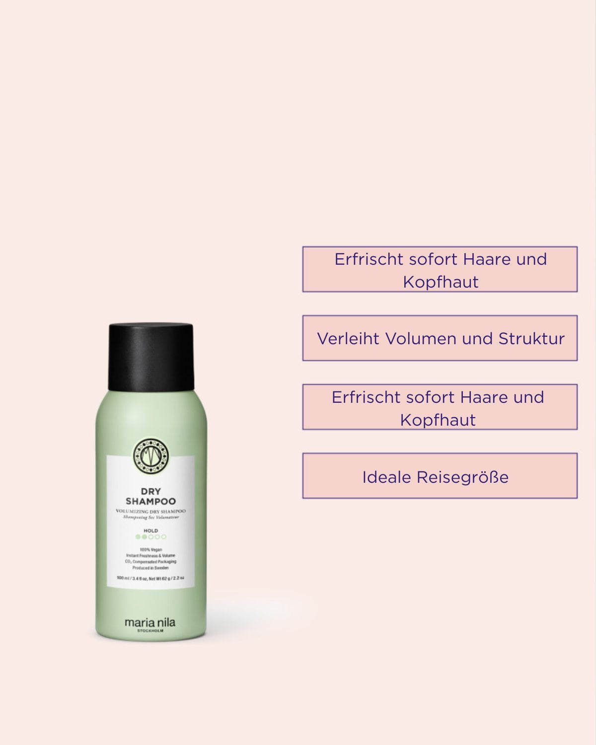 Dry Shampoo 100ml